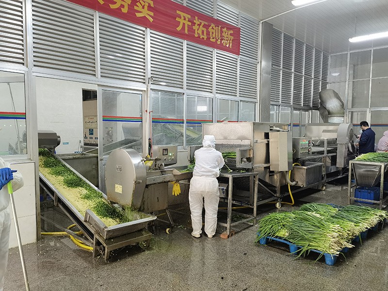 脫水蔥圈系列3